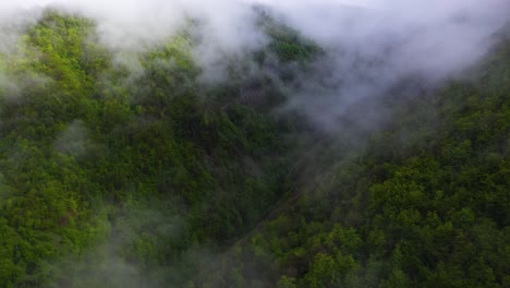 Antena:-Bosque-Neblinoso-En-La-Ladera-De-La-Montaña,-Niebla-De-Nubes-Bajas-Sobre-Los-árboles