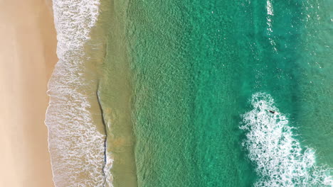 4k-Static-drone-shot-of-a-surfer-heading-out-to-catch-a-big-wave-in-the-beautiful-turquoise-sea-water-at-Byron-Bay,-Australia