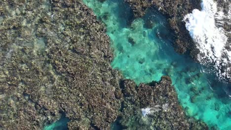 Cinematic-fast-descending-4k-aerial-video-of-coral-reef-of-Utila-island-in-Honduras