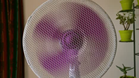 Home-appliance-electric-fan-rotating-purple-plastic-blades-circulating-air-in-room-medium-shot