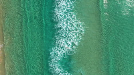 4k-Top-view-aerial-shot-of-a-fearless-surfer-athlete-swimming-through-big-powerful-waves-at-Byron-Bay,-Australia
