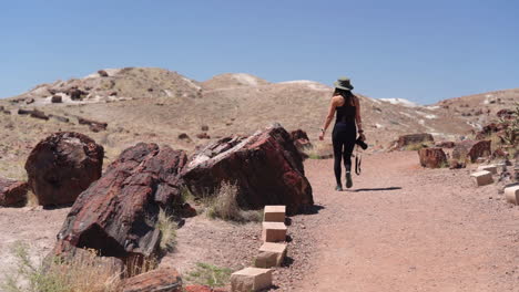 Female-Photographer-on-Hiking-Trail-in-Petrified-Forest-National-Park-Walking-by-Petrified-Logs,-Crystalized-Wood-and-Desert-Landscape,-Full-Frame-Slow-Motion