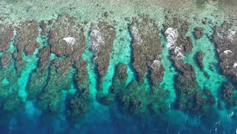 Cinematic-slow-descending-4k-aerial-video-of-coral-reef-of-Utila-island-in-Honduras