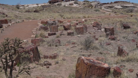 Troncos-Petrificados-Y-Senderos-Para-Caminatas-En-El-Parque-Nacional-Del-Bosque-Nacional-Petrificado,-Arizona,-Ee.uu.,-Fotograma-Completo