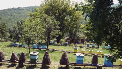 Beekeeping-for-healthy-honey-in-blue-white-and-yellow-beehive-boxes-in-rural-countryside-garden