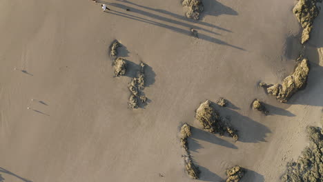 Vista-Superior-De-4k-Toma-De-Drones-De-Un-Surfista-Relajándose-En-La-Hermosa-Playa-En-Byron-Bay,-Australia