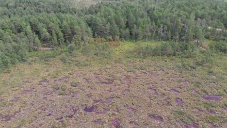Aerial-pull-out-shot-reveals-the-unpolluted-mire-wetland,-green-vegetation-texture-of-a-large-bog,-environmental-concept
