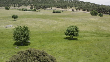 Low-and-smooth-drone-aerial-over-the-foothills-of-the-Sierra-De-Guadarrama-in-Manzanares-el-Real-Spain