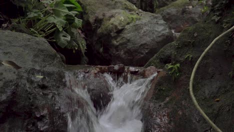 Stream-running-fast-in-tropical-rainforest