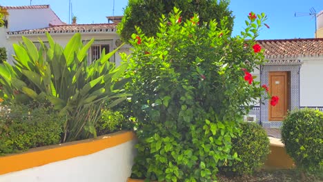 Palm-trees-and-flower-bushes-in-a-tropical-little-Spanish-street-with-houses-in-Marbella-old-town,-sunny-day-and-blue-sky-in-Spain,-4K-panning-left