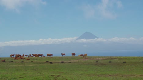 Pico-Mountain-view-from-San-Jorge-Island-located-in-the-Azores-Archipelago