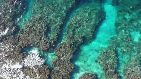 Cinematic-4k-aerial-shot-of-coral-reef-of-Utila-island,-Honduras