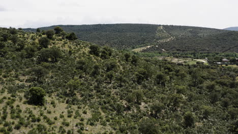 Low-level-Drone-Aerial-Across-The-Wildflower-covered-Foothills-Of-The-Sierra-De-Guadarrama-Near-Manzanares-El-Real-And-Parque-Nacional-De-La-Pedriza