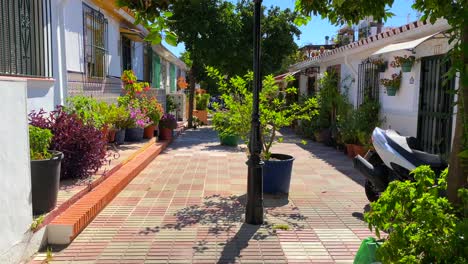 Orange-trees-and-beautiful-flowers-in-a-typical-little-narrow-Spanish-street-with-houses-in-Marbella-old-town-Spain,-sunny-day-and-blue-sky,-4K-tilting-up