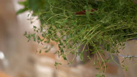Freshly-grown-thyme-and-basil-herbs-in-home-kitchen,-close-up-view