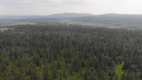 Aerial-shot-of-typical-nature-jämtland-or-härjedalen-shoot-by-drone-and-flying-forward-scene