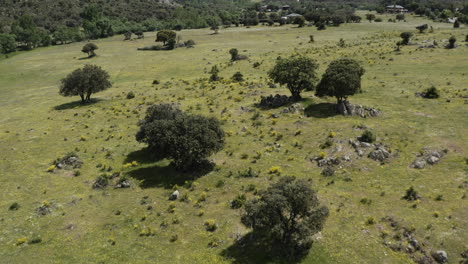 Aerial-birdseye-view-of-the-lowland-pastures-to-reveal-the-terrain-around-the-Sierra-de-Guadarrama-in-the-Parque-Nacional-de-La-Pedriza-Spain