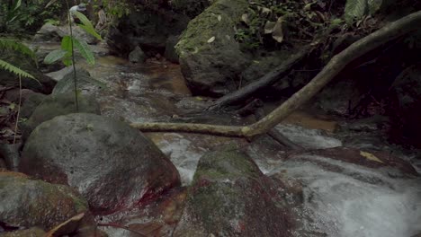 Clear-stream-water-flowing-through-stoney-creek-between-mossy-rock,-boulders-and-gravel-in-tropical-rainforest