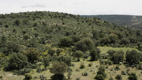 Low-lying-foothills-around-the-SIerra-De-Guadarrama-near-Manzanares-el-Real-in-Spain