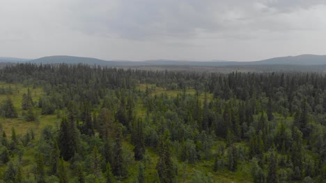 Spectacular-aerial-dolly-out-shot-capturing-the-natural-beauty-of-pine-forest-in-Jämtland-Sweden,-mysterious-and-lonely-concept