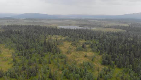 Drone-hovering-above-a-misty-evergreen-forest-capturing-the-natural-beauty-of-arctic-nature-in-Jämtland-Sweden