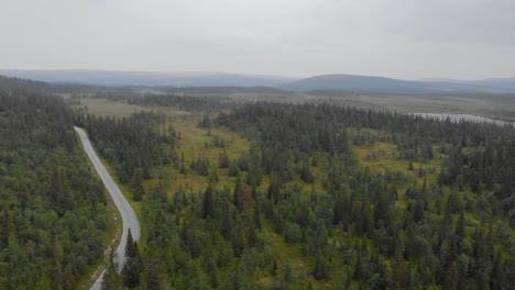 Exuberante-Paisaje-Natural-Verde-Con-Carretera-Rural-En-Jamtland,-Suecia
