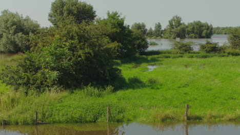 Szene-Der-überschwemmten-Landschaft-In-Der-Nähe-Des-Hauptflusses-In-Den-Niederlanden,-Europa