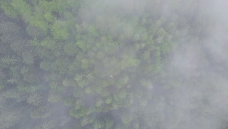 Top-down-aerial-mountain-forest-moody-atmosphere-with-clouds-4K