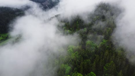 Aerial-moody-mountain-forest-covered-in-thick-white-clouds-4K