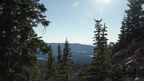 Beautiful-landscape-shot-of-the-wild-Uinta-Wasatch-Cache-National-Forest-from-the-Bald-Mountain-hike-with-large-pine-trees-and-alpine-lakes-below-on-a-bright-sunny-summer-day