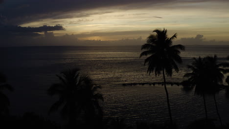 Camera-dolly-in-shot-over-the-luxury-tropical-paradise-of-Ostionse-Beach-Puerto-Rico---Palm-trees-silhouetted-in-the-foreground