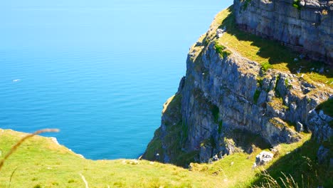 Birds-flying-against-blue-ocean-background-on-bright-sunny-grass-rocky-mountain-coastal-cliff-edge