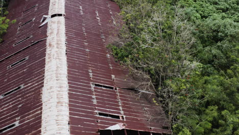 Mother-Nature-reclaiming-an-old-rusty-and-long-forgotten-warehouse-in-Puerto-Rico