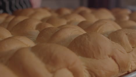 Close-up-of-the-surface-of-dinner-roll-bread