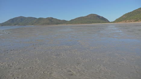 Muddy-Coastline-At-The-Western-End-Of-Shaw-Island-During-Low-Tide-In-Whitsundays,-Queensland,-Australia