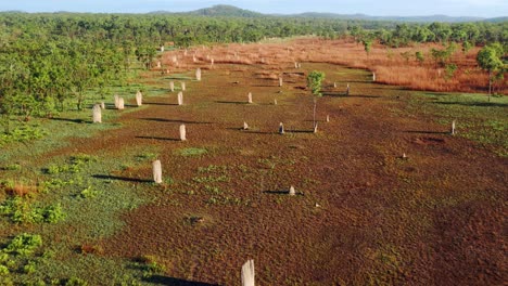 Aerial-view-of-Magnetic-Termite-Mounds-in-Litchfield-National-Park,-Northern-Territory,-Australia