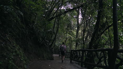 Tourist-walks-down-dark-path-in-rain-forest-nature-preserve,-slow-motion