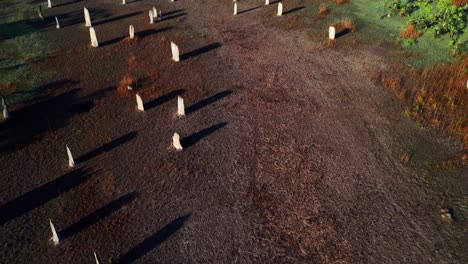 Luftaufnahme-Von-Magnetischen-Termitenhügeln,-Die-Auf-Einer-Weiten,-Flachen-Ebene-Im-Litchfield-Nationalpark-Im-Nördlichen-Territorium-Australiens-Stehen