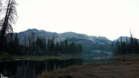 Atemberaubender-Zeitraffer-Des-Wunderschönen-Schmetterlingssees-Im-Uinta-Wasatch-Cache-National-Forest-In-Utah-Mit-Großen-Kiefern,-Seerosenblättern-Und-Felsigen-Bergen-An-Einem-Kalten,-Nebligen-Sommermorgen