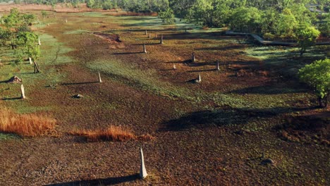 Panorama-Der-Magnetischen-Termitenhügel-Eine-Touristenattraktion-Im-Litchfield-Park,-Australien