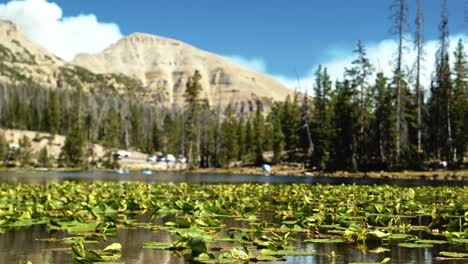 Aufsteigende-Landschaftsaufnahme-Des-Ruhigen-Schmetterlingssees-Mit-Seerosen-Den-Uinta-National-Forest-In-Utah-Mit-Großen-Felsigen-Bergen-Und-Kiefern-Umgeben-An-Einem-Hellen-Sonnigen-Sommertag
