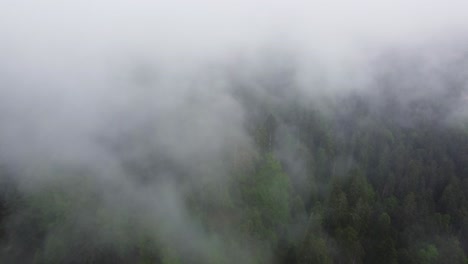 Aerial-mountain-forest-rainy-moody-atmosphere-with-clouds-4K