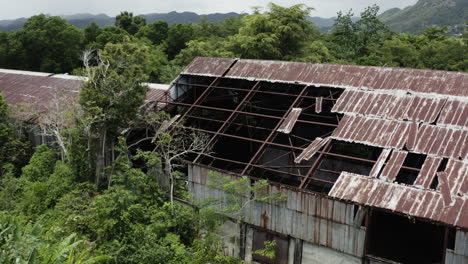 Aerial-view-over-an-old-abandoned-factory-in-the-heart-of-the-jungle---hideout-and-drug-smuggler-type-concepts