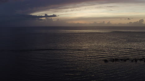 Die-Kamera-Fliegt-Bei-Sonnenuntergang-An-Silhouetten-Von-Palmen-über-Dem-Karibischen-Ozean-Vorbei---Ostiones-Puerto-Rico