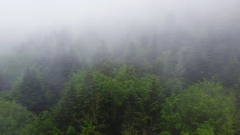 Luftumkreisender-Launischer-Bergwald-Unter-Schweren-Wolken-4k