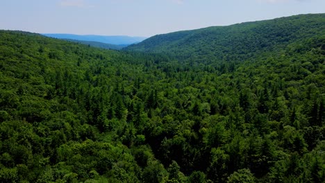 Luftaufnahme-Des-Waldes-In-Den-Catskill-Mountains,-Hudson-Valley,-In-Den-Appalachen-Im-Sommer
