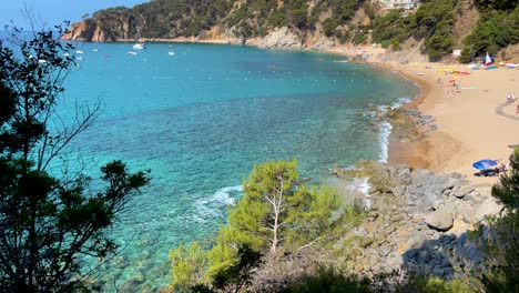 Costa-Brava-beautiful-virgin-beach-with-transparent-turquoise-waters-lush-vegetation-of-pine-trees-and-rocks-yellow-sand-Gerona-Catalonia-Mediterranean-Panoramic-views-Tossa-de-Mar-cove-Llevad?