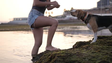 Slow-motion-of-a-girl-playing-with-her-dog-on-the-beach-in-Cascais,-Portugal