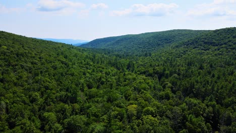 Aerial-view-of-forest-in-the-Catskill-Mountains,-Hudson-Valley,-in-Appalachian-Mountains-during-summer