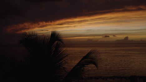 Cinematic-reveal-of-a-tropical-romantic-sunset-from-behind-silhouetted-palm-trees-at-Ostiones-Beach-in-Puerto-Rico